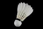 pixwords SHUTTLECOCK